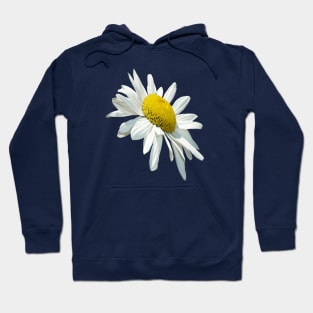 Close Up Common White Daisy Cut Out Hoodie